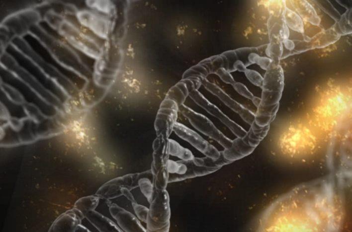 Genmutation Mit Schweren Folgen Das Prader Willi Syndrom