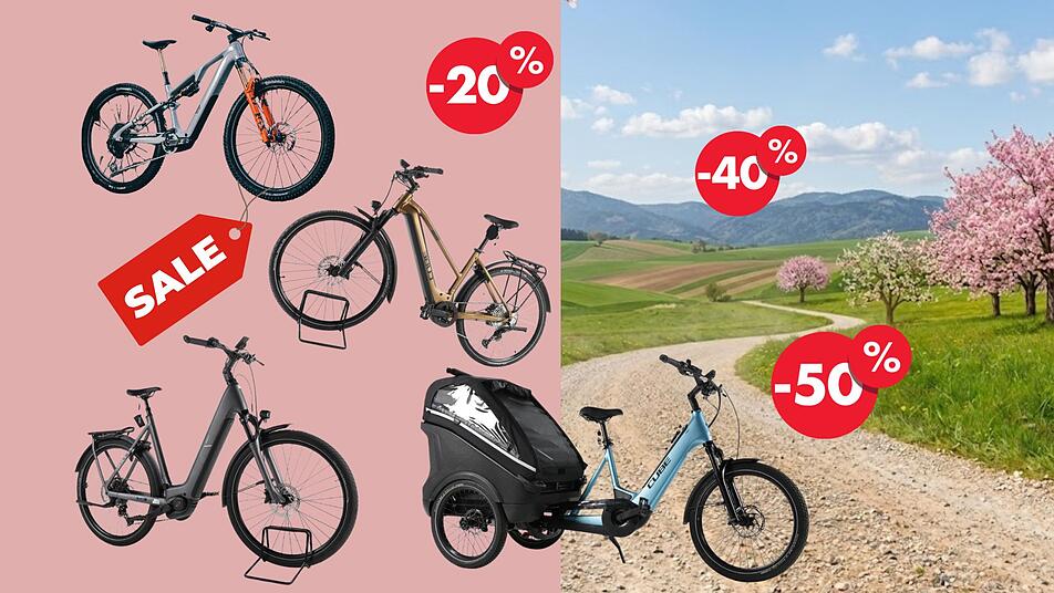 fahrradanhänger e-bike hund Fahrradanhänger Hund