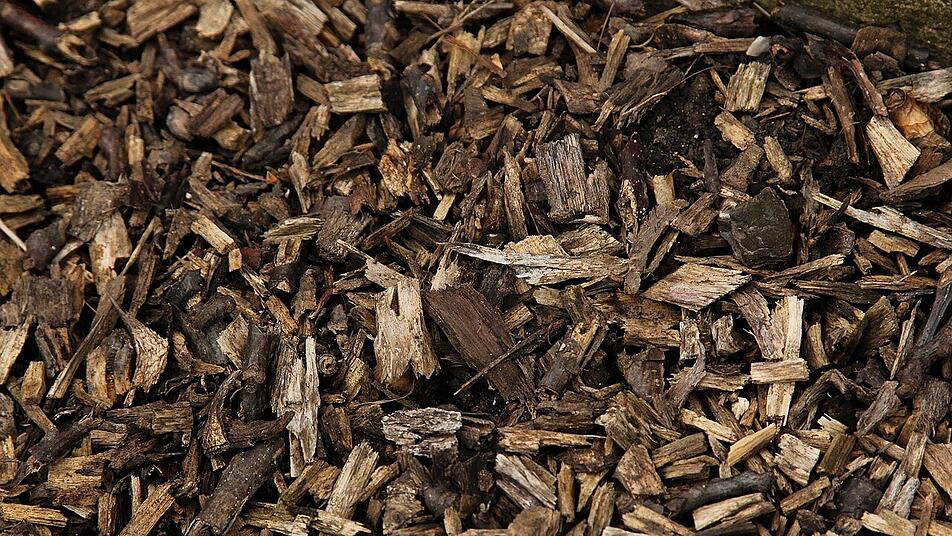 Hornspne oder Hornmehl als natrlicher Dnger fr deinen Garten: Das musst  du beachten